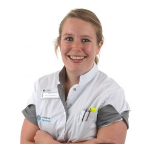 Dominicus, S.Q.L. (Suzanne)